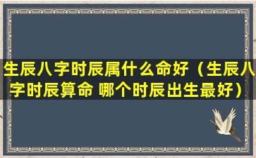 生辰八字时辰属什么命好（生辰八字时辰算命 哪个时辰出生最好）